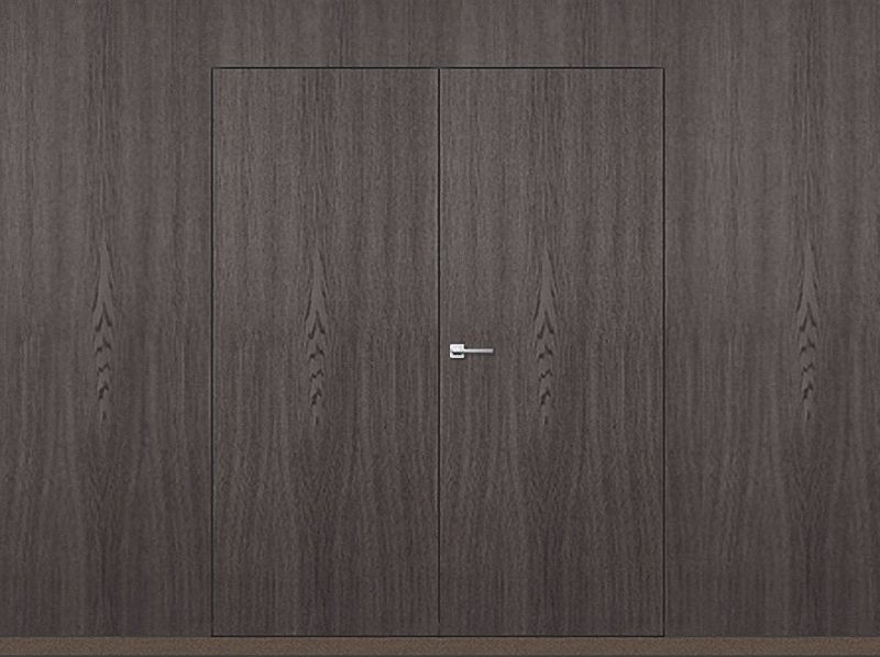 Двустворчатые скрытые двери