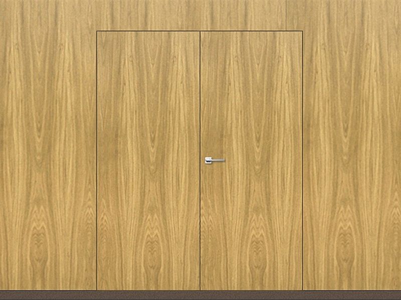 Двустворчатые скрытые двери