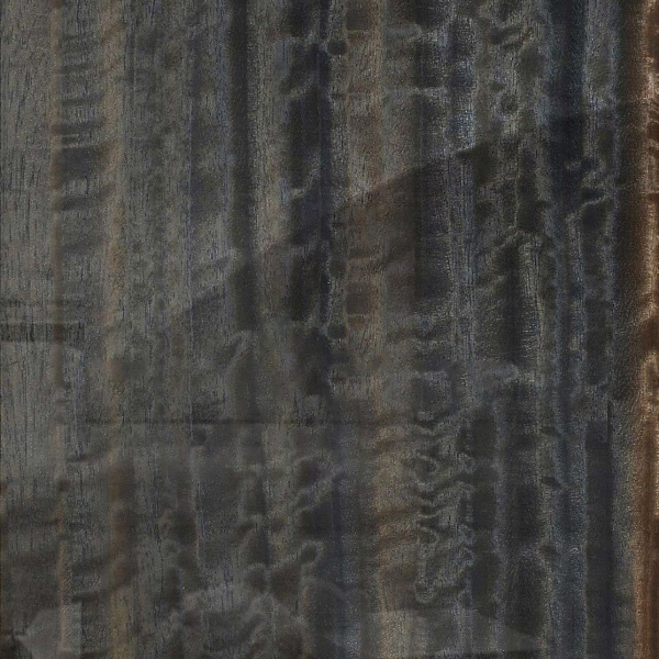 Шпон Шахматного дерева Black