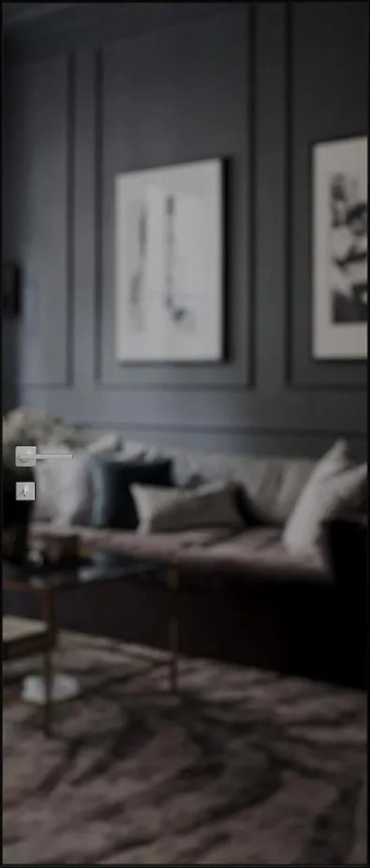 Стеклянная дверь из серии «Мираж» модель MR1